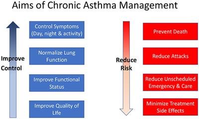 Two Sides of the Same Coin?—Treatment of Chronic Asthma in Children and Adults